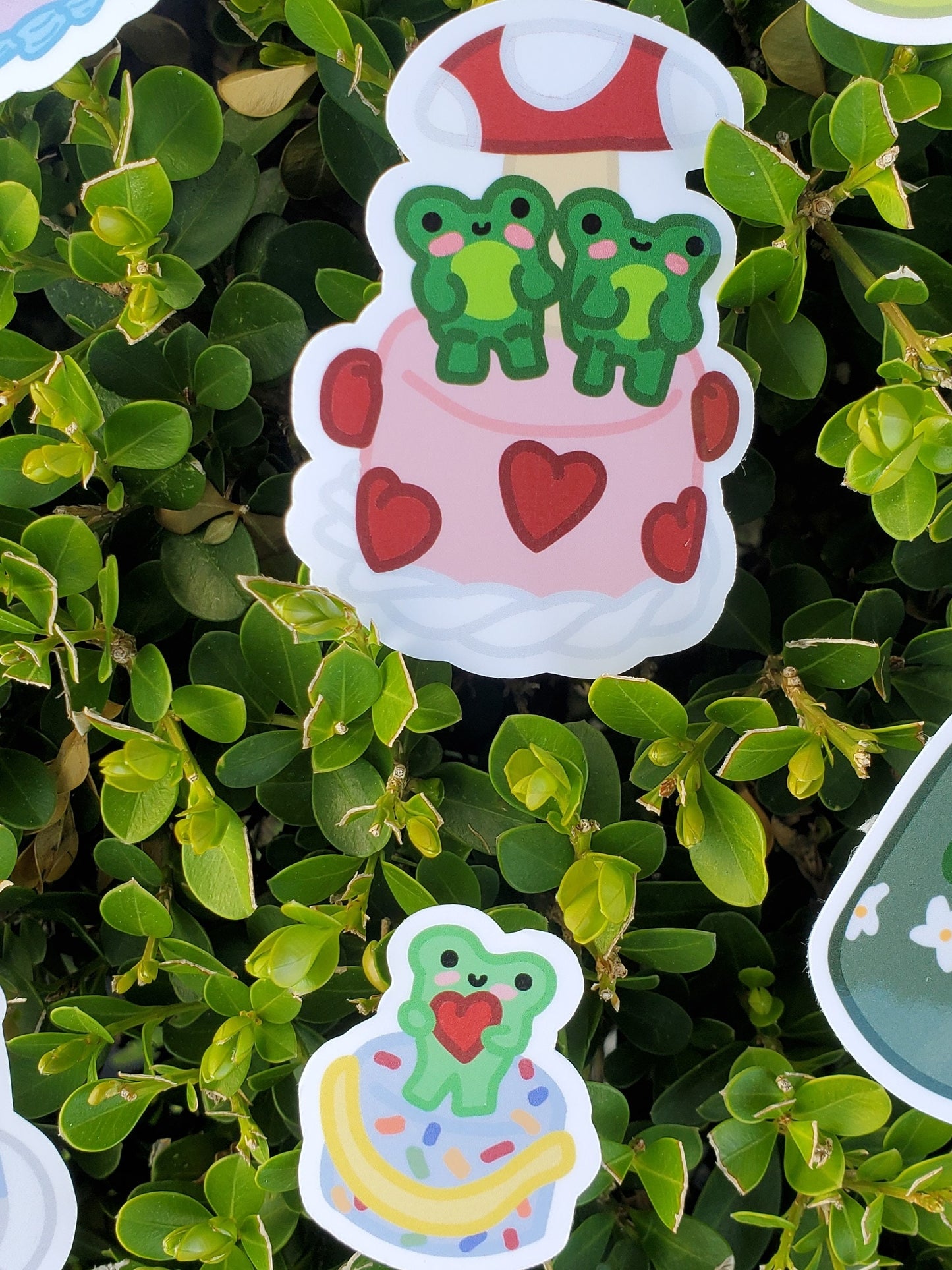 Froggy Cake Sticker Pack of 7