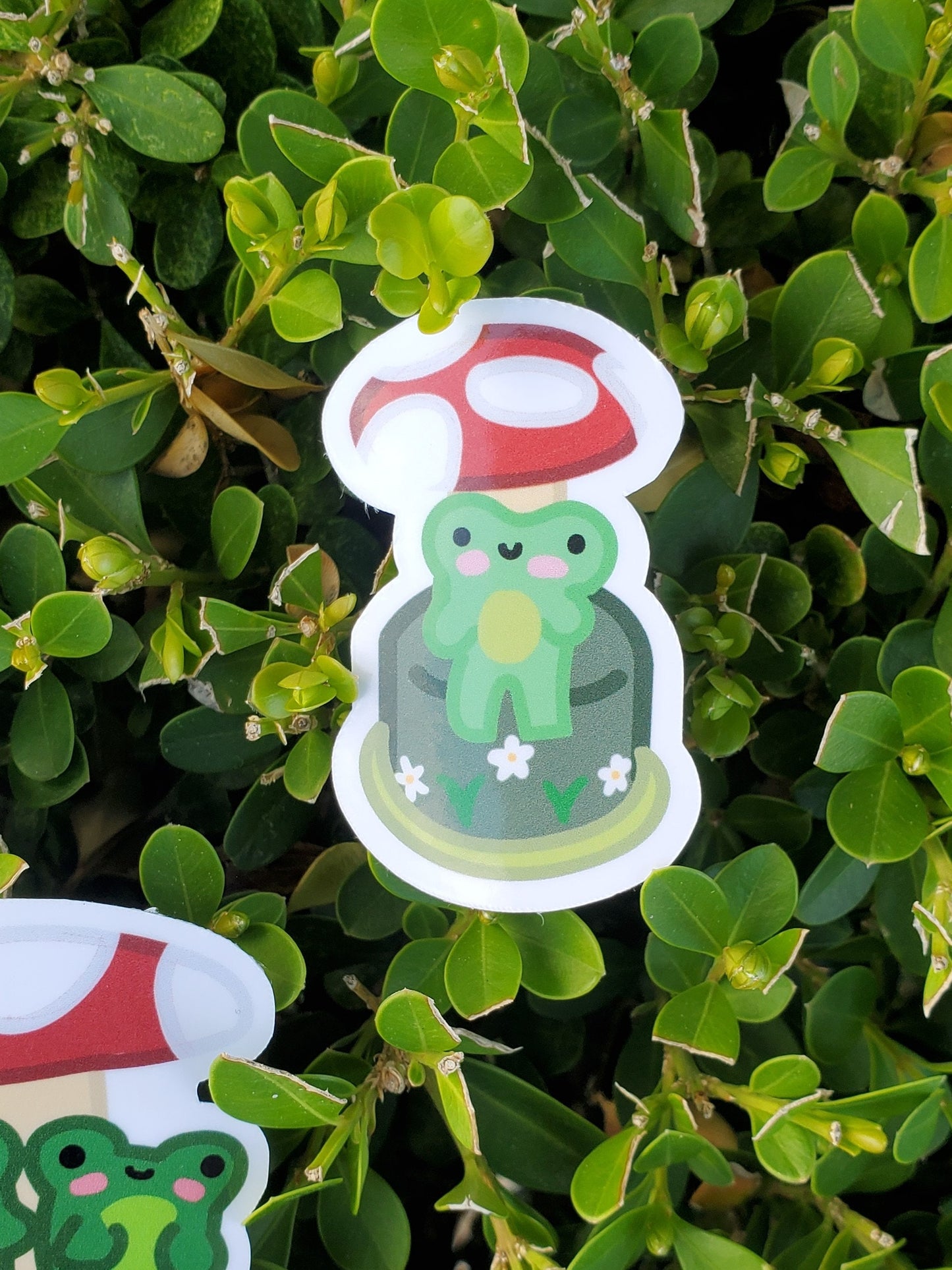 Froggy Cake Sticker Pack of 7